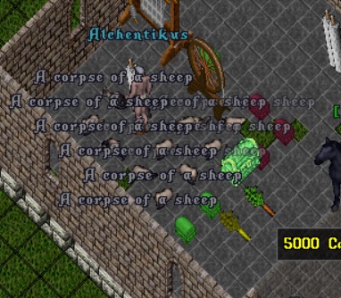 New Bitmap Image.jpg