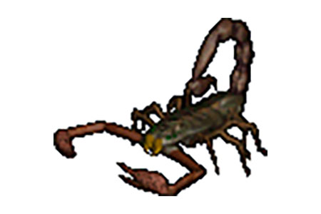 a giant scorpion