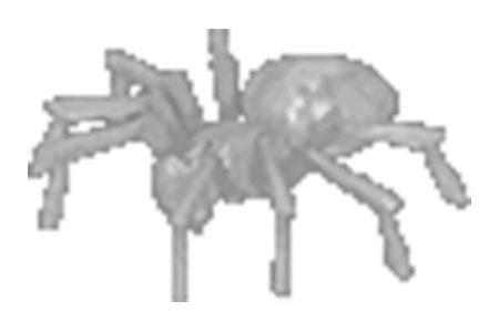 a frost spider